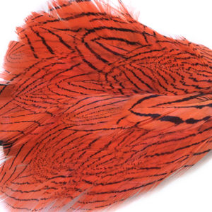 Orange Silver Pheasant Feather Bow Tie