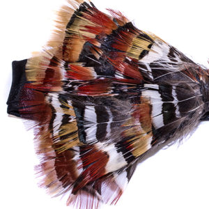 Lady Amherst Pheasant Feather Bow Tie