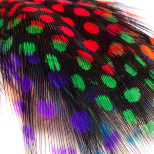 Rainbow Guinea Feather Ring