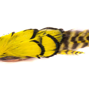 Yellow Pheasant & Grizzly Feather Ring