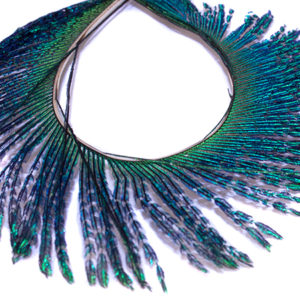 Peacock Feather Hoop Earrings
