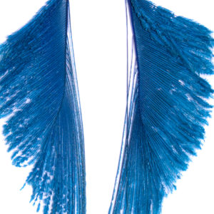 Turquoise Peacock Sword Earrings