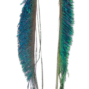Natural Peacock Sword Feather Earrings