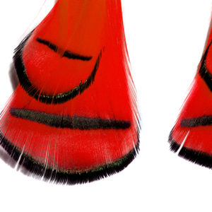 Red Phesant Feather Earrings
