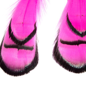 Pink Phesant Feather Earrings