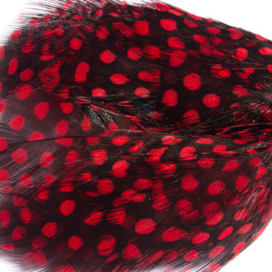 Half Phesant Feather Bow-Tie Red & Black