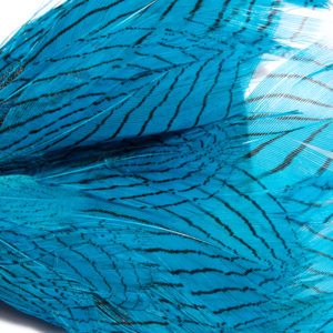 Turquoise Phesant Feather Bow Tie