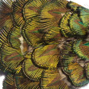 Royal Peacock Feather Bow-Tie